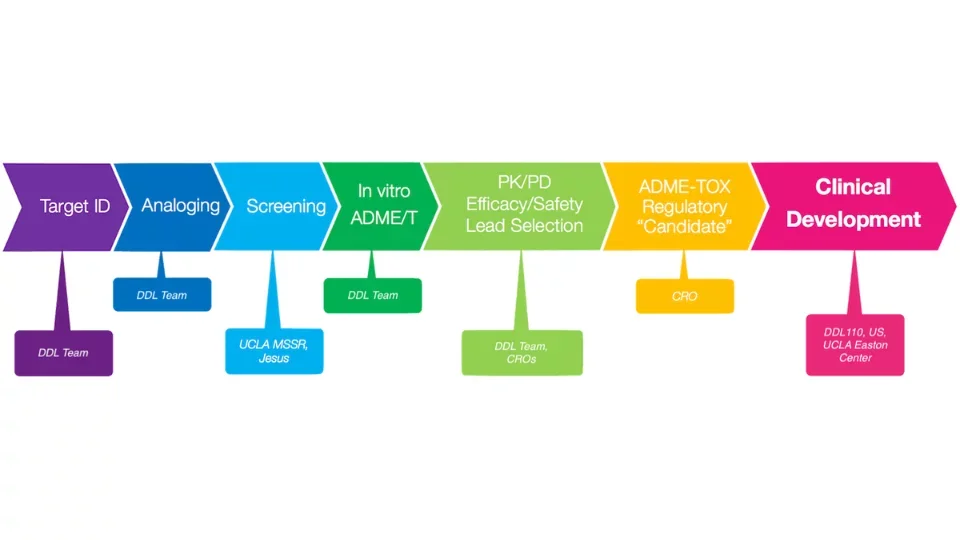 Rainbow flowchart illustrating how drugs are developed.